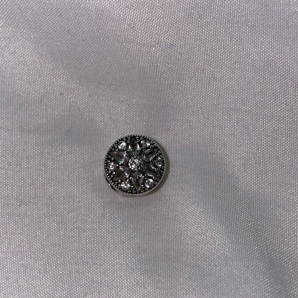 Pandora bead charm